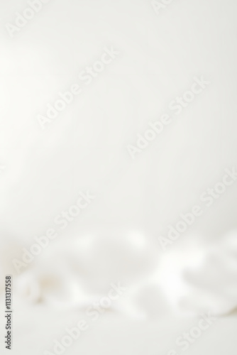 A simple white wooden tabletop sits atop a soft, blurred white background with subtle depth of field effects surrounding it._00001_ photo