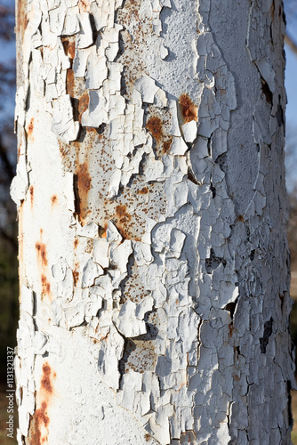 Close-up photo of old chipped and flaking white paint on a rusted metal pole with soft de-focused outdoor background.