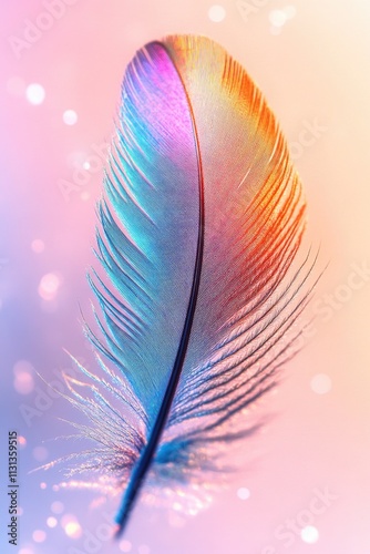 Feather on blurry background photo