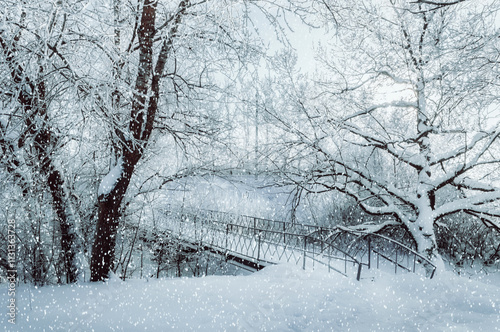 Winter landscape in cold tones - frosted winter trees and old bridge in the winter forest in cloudy weather photo