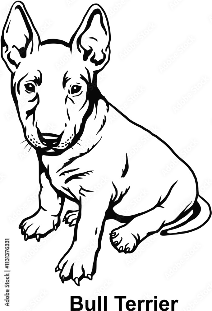 Fototapeta premium Puppy Bull Terrier - Dog Breed, Puppy Breed Vector File, detailed vector