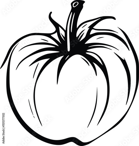 hand drawn illustration of a tomato