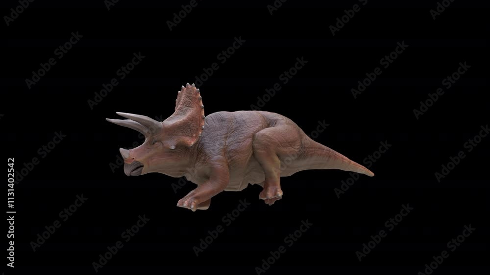 Triceratops Dinosaur  3D Video Animation