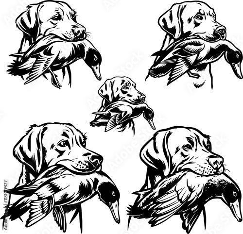 Duck Hunting, Dog Hunts Clipart, eps