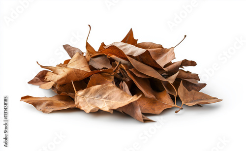 A pile of dried brown leaves isolated on a white background, showcasing the texture and natural earthy tones of autumn. photo