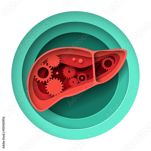 Human liver internal organ gear cogwheels work process paper cut craft anatomical design vector illustration