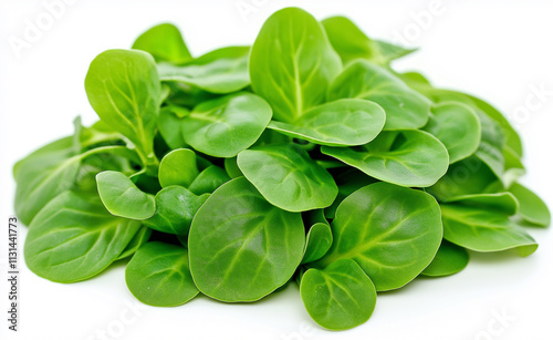 A fresh pile of vibrant green spinach leaves neatly arranged on a light background, emphasizing natural health and freshness. photo