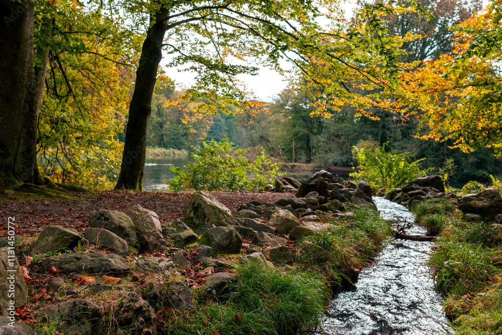 Fototapeta premium A stream photographed in the forest with beautiful autumn leaves