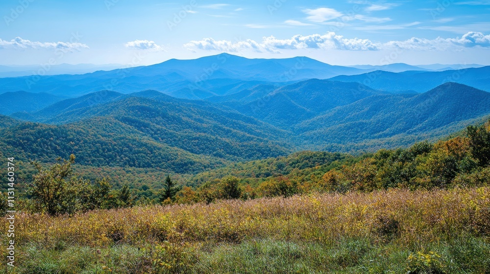 Obraz premium Panoramic vista of autumnal Appalachian Mountains. Lush foliage of various hues, rolling hills, and distant mountain range stretch under a clear, sunny sky.