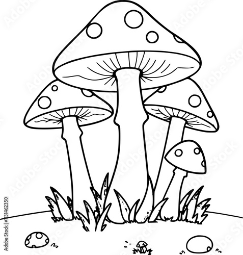 mushroom illustration