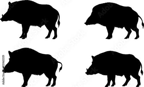 Wild Boar Solid Silhouette.