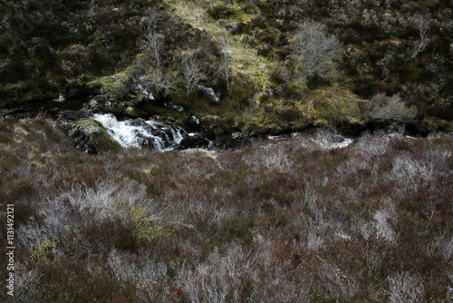 Ascent to Ben Wyvis along the Allt a' Bhealaich Mhoir stream - Ross and Cromarty - Scotland - UK photo