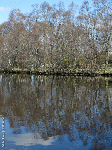 Forest and surrounding around Loch Kinord - Between Ballater and Dinnet - Aberdeenshire - UK photo