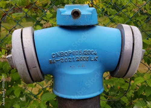 Bild auf Leinwand hydrant drogowy do gaszenia pożarów