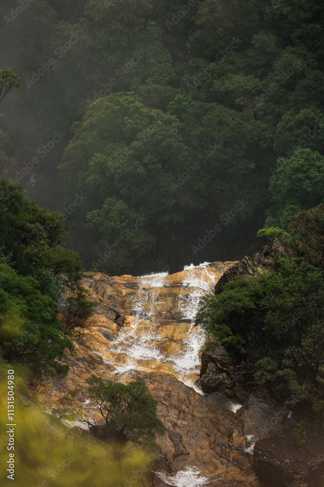 Obraz premium Blue Mountains National Park