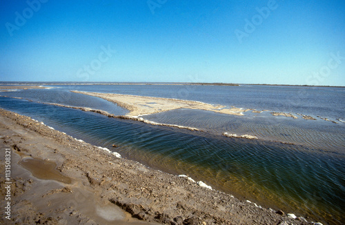 sel, Parc naturel régional, Camargue,  13, Bouches du Rhone, France photo