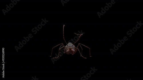 red ant attack 3D Video Animation photo