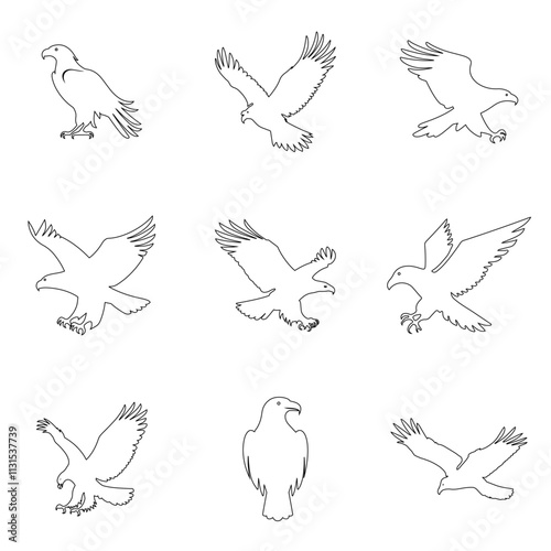 set of eagle line art vector design, bird, silhouette, eagle, flying, vector, animal, illustration, nature, wing, birds, black, fly, wings, feather, dove, wild, hawk, design, wildlife, art, tattoo
