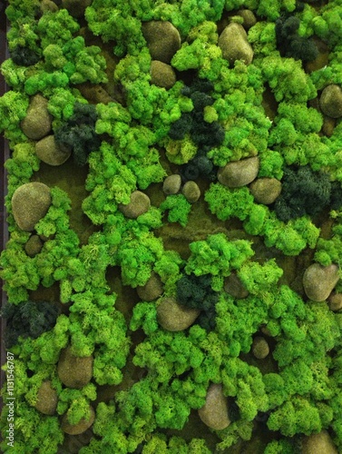 Obraz na płótnie decorative artificial moss wall, indoor landscaping,plant green background w salonie