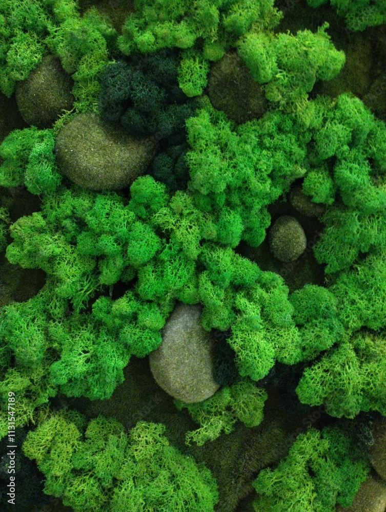 decorative artificial moss wall, indoor landscaping,plant green background