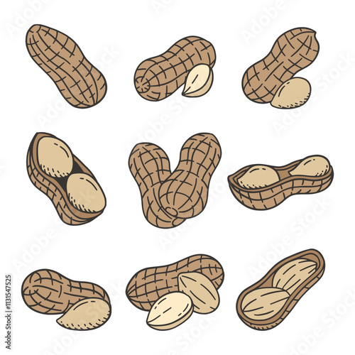 Peanut Doodle Style Illustration