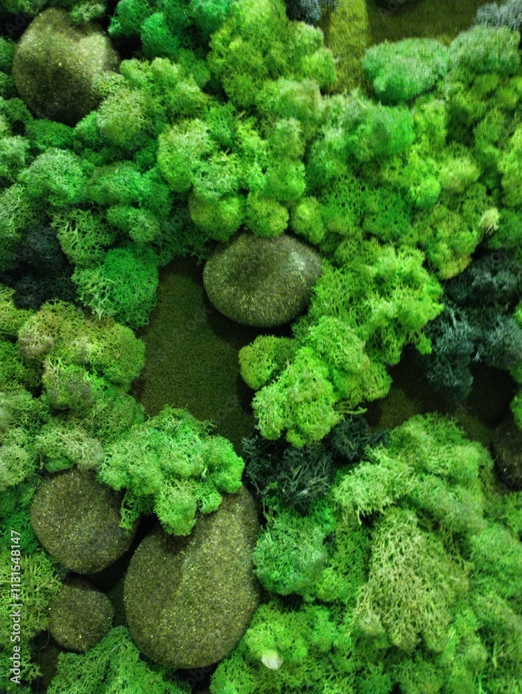 decorative artificial moss wall, indoor landscaping,plant green background