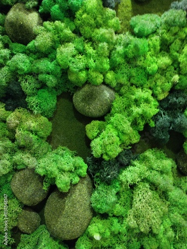 Obraz na płótnie decorative artificial moss wall, indoor landscaping,plant green background w salonie