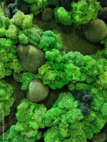 Obraz na płótnie decorative artificial moss wall, indoor landscaping,plant green background w salonie