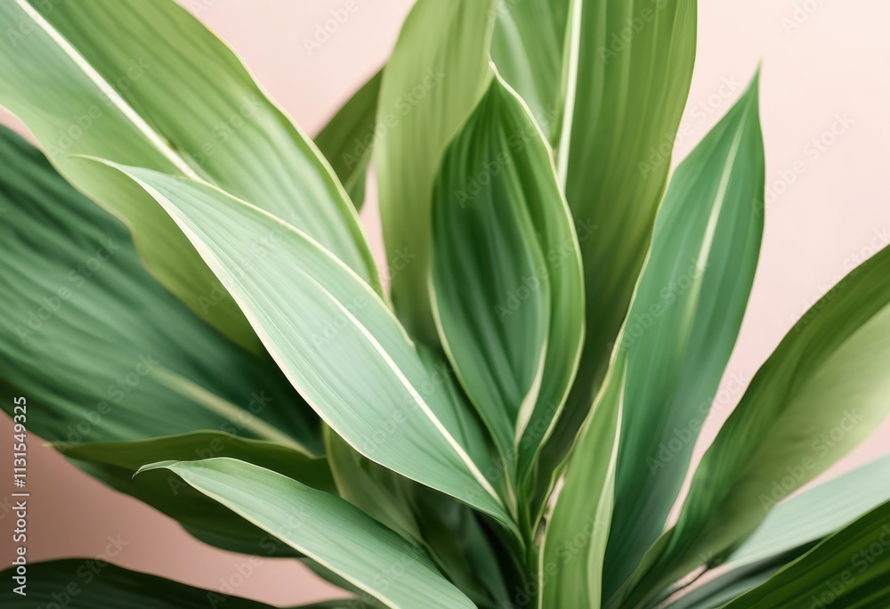 Obraz premium stunning minimalist plant captured natural backdrops fresh visual experience, aesthetic, botanical, clean, color, composition, contrast, creative