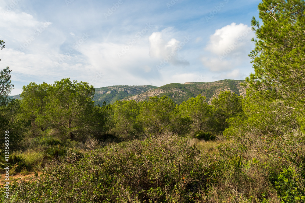 Im Naturpark Serra d'Irta bei Alcossebre, Provinz Castellón, Autonome Gemeinschaft Valencia, Spanien Im Naturpark Serra d'Irta bei Alcossebre, Provinz Castellón, Autonome Gemeinschaft Valencia, Spanien