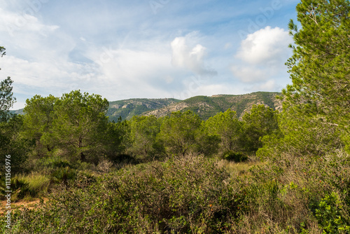 Im Naturpark Serra d'Irta bei Alcossebre, Provinz Castellón, Autonome Gemeinschaft Valencia, Spanien