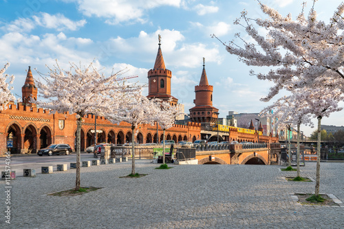 Blooming cherry blossom trees at Oberbaumbrücke in spring, Friedrichshain district, Berlin, Germany