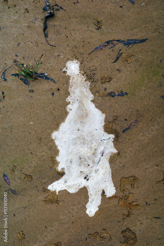 Bird droppings on sand, Lower Mississippi River photo