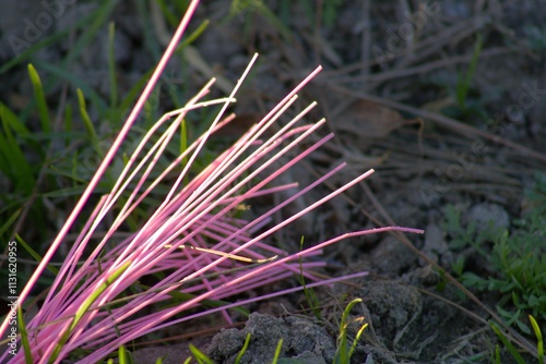 pink grass tufts construction marker