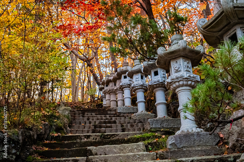 Fototapeta premium 北海道 札幌の秋