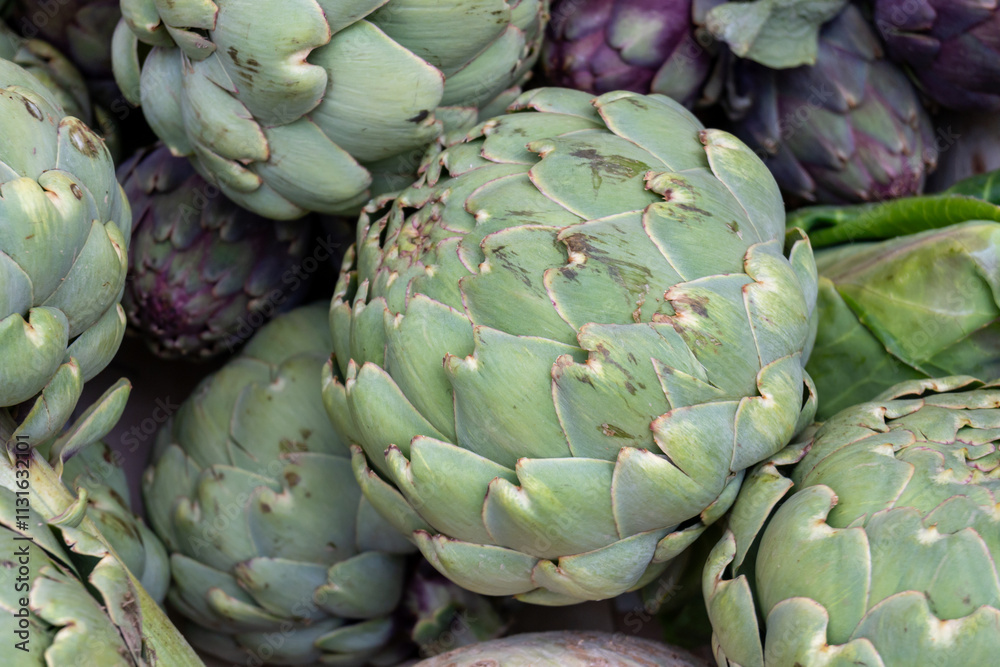 Obraz premium Big ripe uncooked green globe artichoks vegetables close up from Brittany