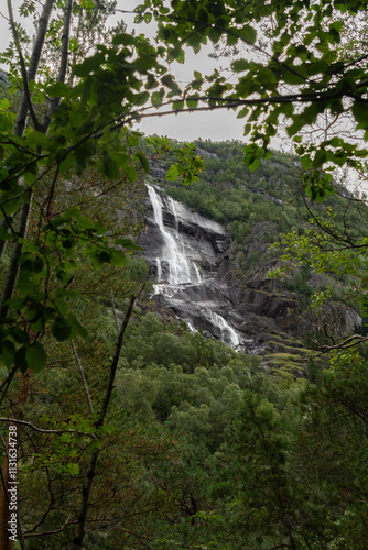 A stunning waterfall flows through a lush forest, tumbling over rocks and surrounded by vibrant greenery. The sound of rushing water blends with the peaceful ambiance, creating a serene natural escape