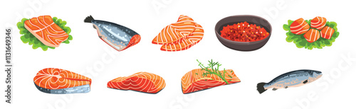 Salmon Fish Slab and Fillet with Red Flesh Vector Set
