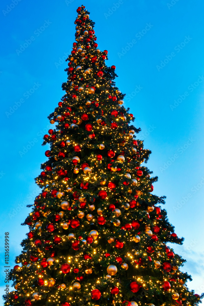 Christmas Tree at Wantermaart