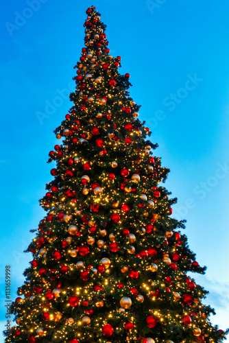 Obraz na płótnie Christmas Tree at Wantermaart w salonie