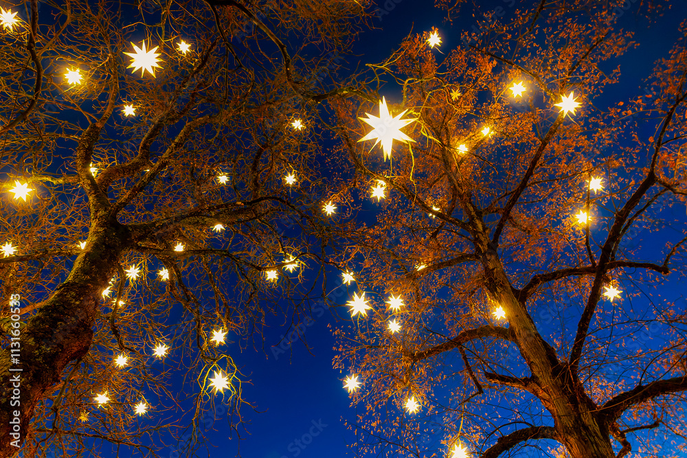 Decorated trees