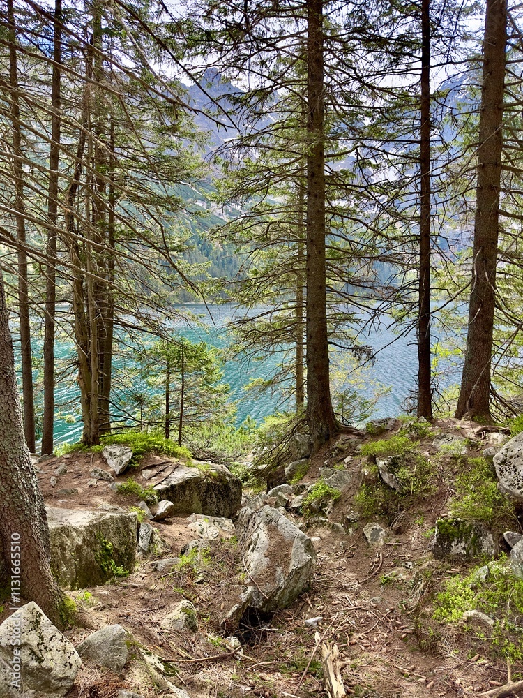 Tatra Mountains and Morskie Oko lake view in Zakopane, Poland