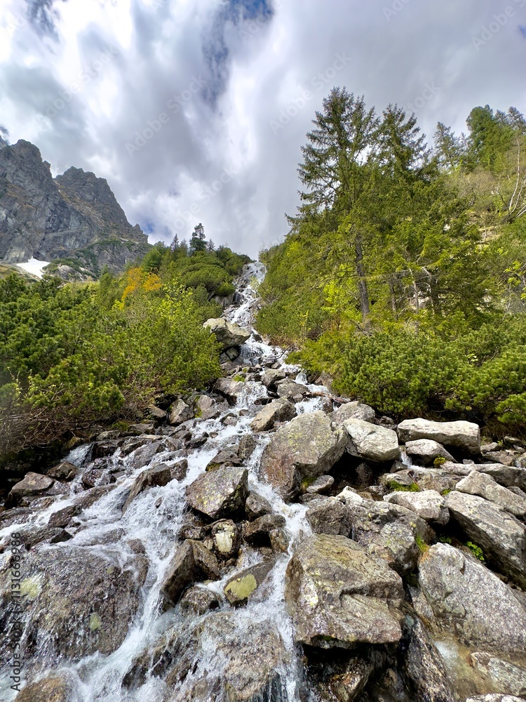 Mountain stream close to the Tatra Mountains and Morskie Oko lake in Zakopane, Poland