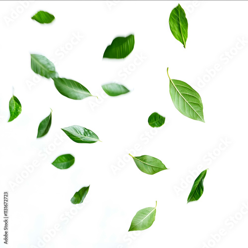 some green leaves falling in a dinamic way with some of them having motion blur in a white isolated background photo