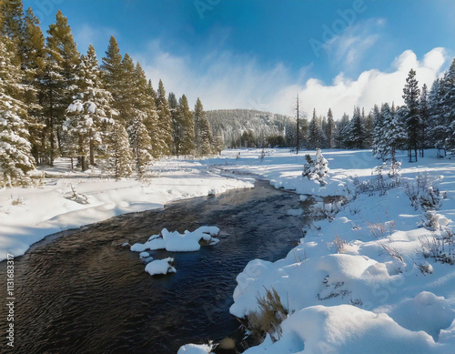 Stream trhough a Snowy Field Lined with Evergreen AI photo