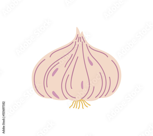 Fresh whole garlic aromatic bulb simple hand drawn vector illustration, organic healthy life style diet, food nutrient for seasoning different dishes, full of vitamins and minerals