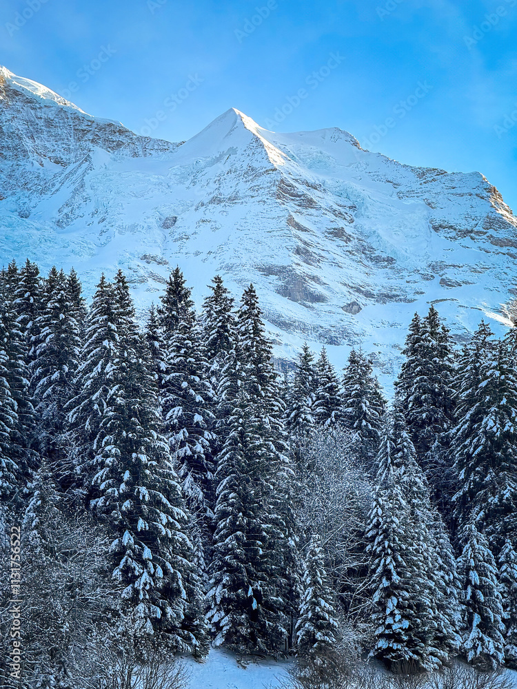 Scenic view of snowcovered Silberhorn mountain in Switzerland against blue sky in winter