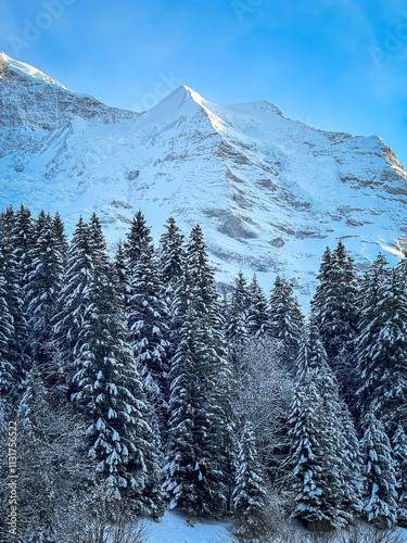 Obraz na płótnie Scenic view of snowcovered Silberhorn mountain in Switzerland against blue sky in winter w salonie