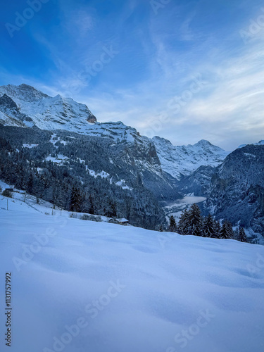 Obraz na płótnie Panoramic view of Lauterbrunnen Valley, Switzerland seen from Wengen with snowcovered Breithorn (middle) and Jungfrau (left) mountain in winter against blue sky with clouds w salonie