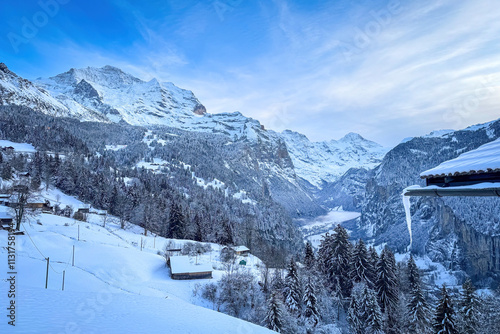 Obraz na płótnie Panoramic view of Lauterbrunnen Valley, Switzerland seen from Wengen with snowcovered Breithorn (right) and Jungfrau (left) mountain in winter against blue sky with clouds w salonie